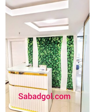 دیوار سبز خزه ای برای کیلینیک زیبایی